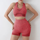 shorts de ginásio feminino esporte sutiãs, sutiã treino topos para mulheres roupas leggings de fitness conjunto de ginásio sem costura